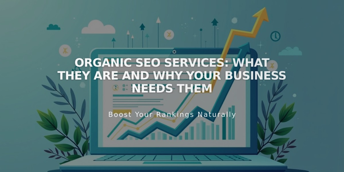 Organic SEO Services: What They Are and Why Your Business Needs Them