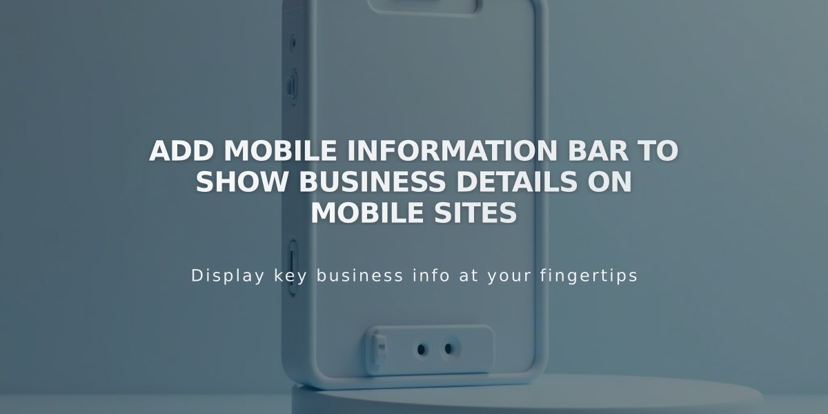 Add Mobile Information Bar to Show Business Details on Mobile Sites