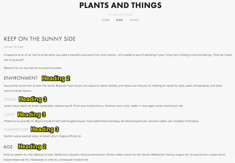 Blog header with flowers and botany