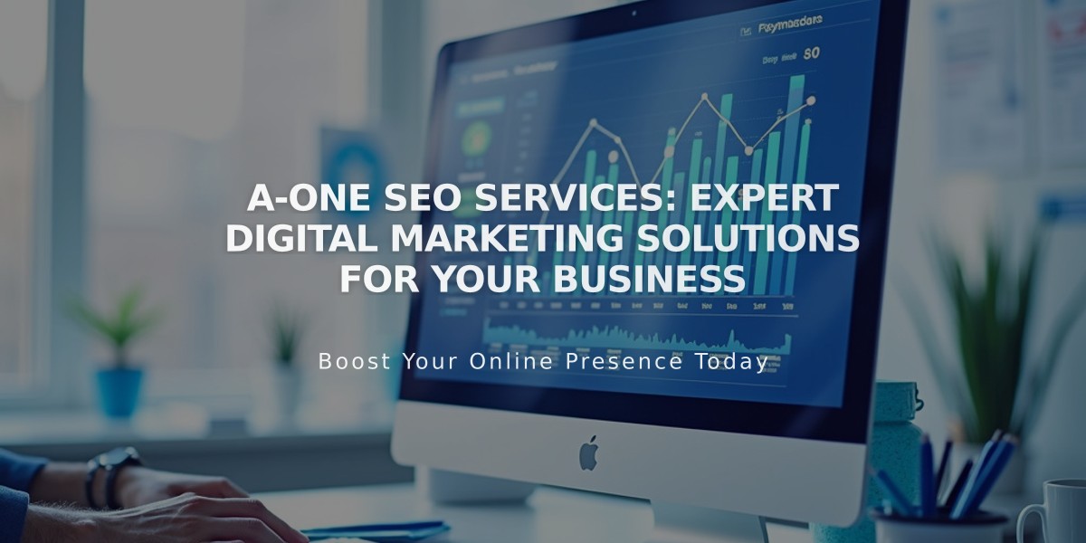 A-One SEO Services: Expert Digital Marketing Solutions for Your Business