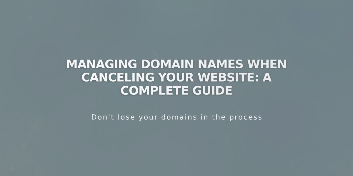 Managing Domain Names When Canceling Your Website: A Complete Guide