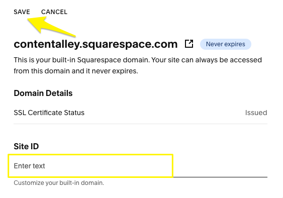 Custom domain settings in Squarespace