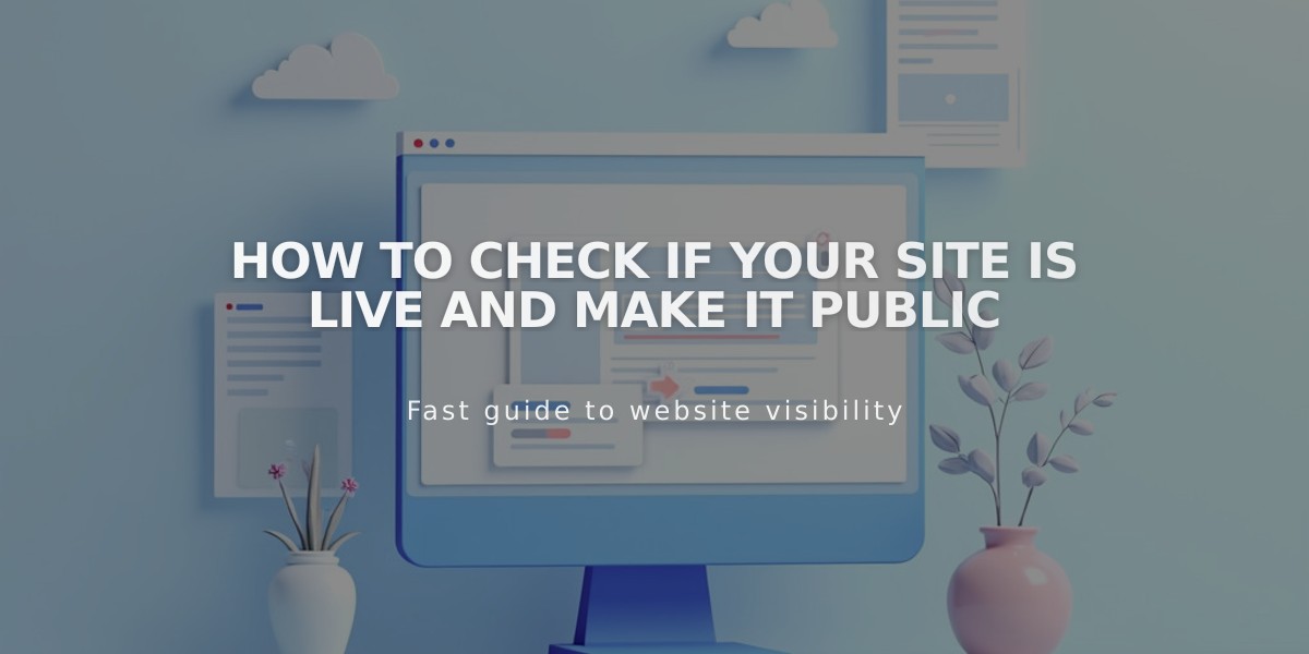 How to Check If Your Site Is Live and Make it Public