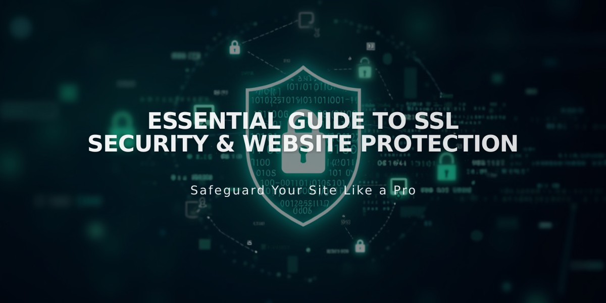 Essential Guide to SSL Security & Website Protection