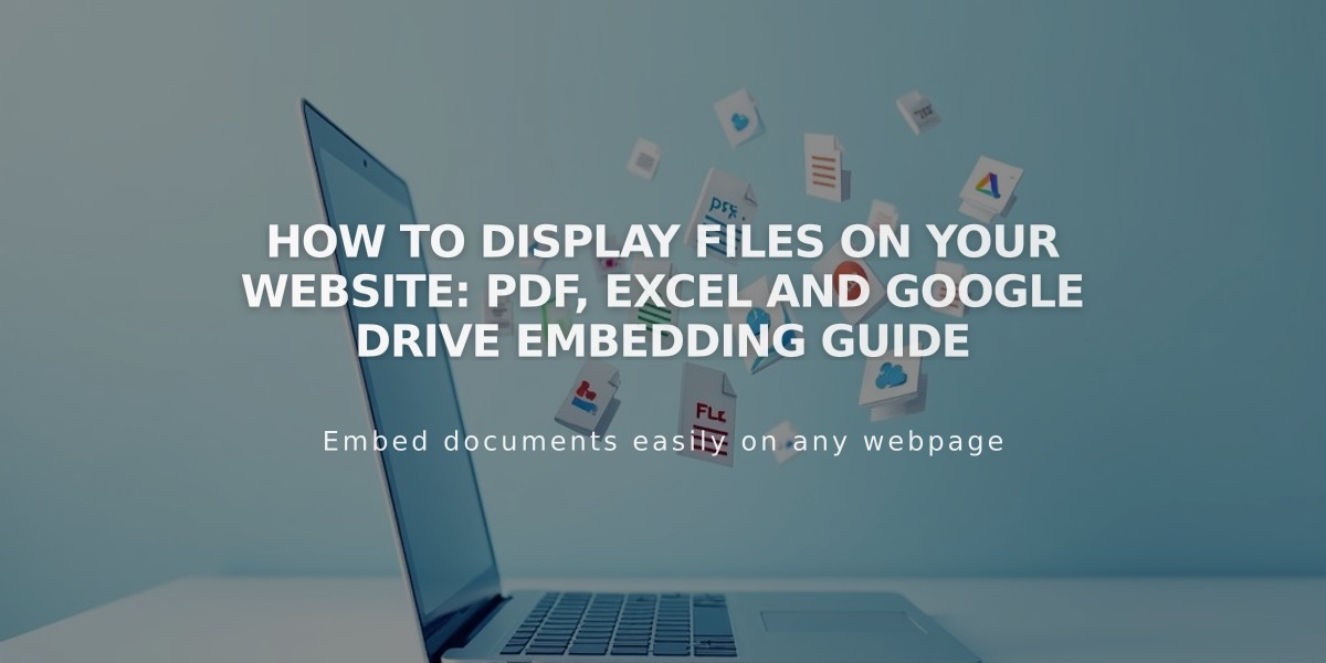 How to Display Files on Your Website: PDF, Excel and Google Drive Embedding Guide