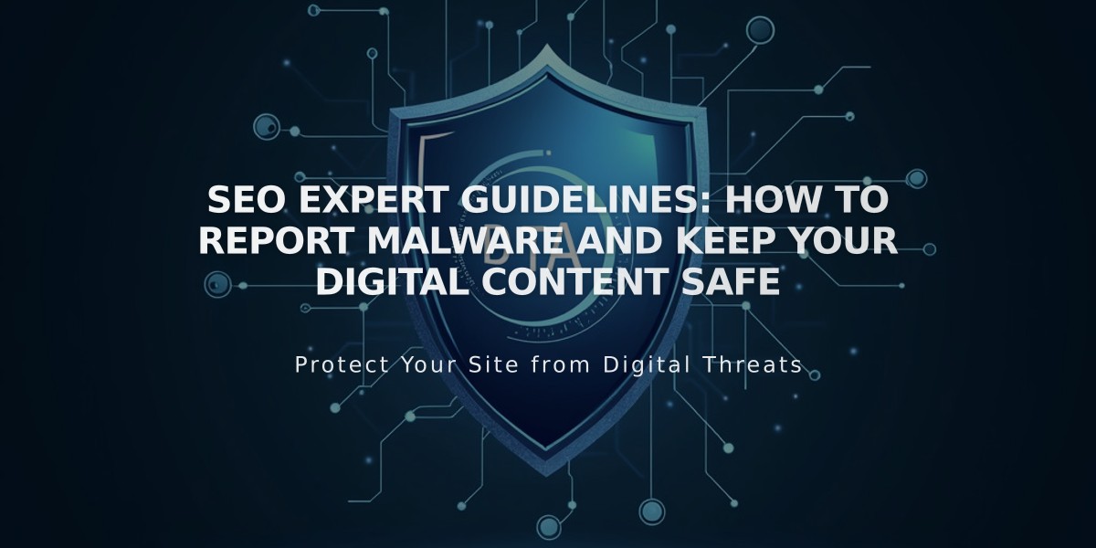 SEO Expert Guidelines: How to Report Malware and Keep Your Digital Content Safe