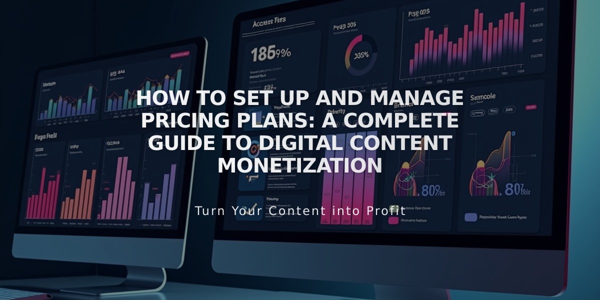 How to Set Up and Manage Pricing Plans: A Complete Guide to Digital Content Monetization