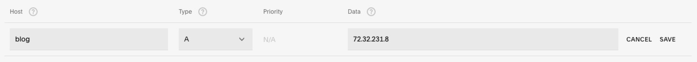 DNS settings page type A