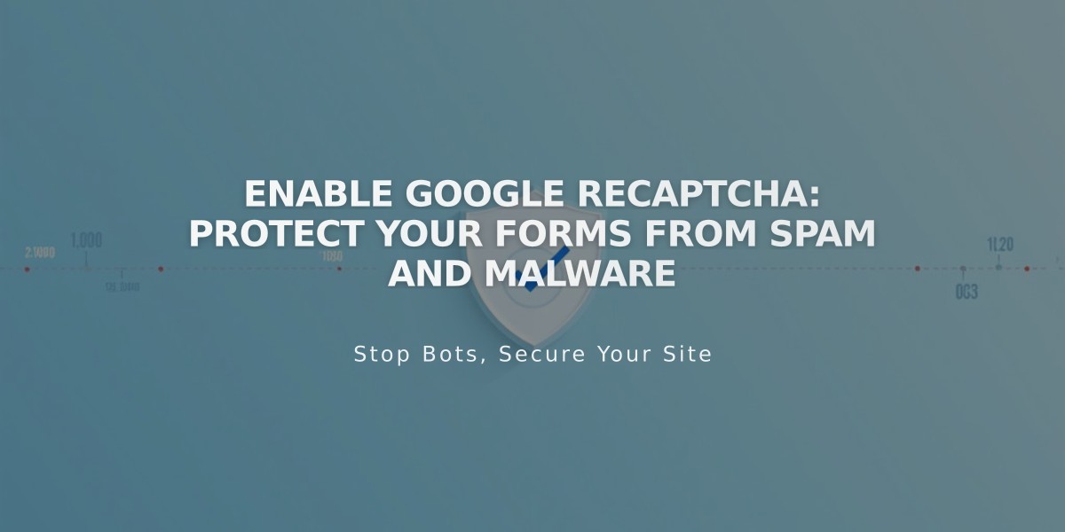 Enable Google reCAPTCHA: Protect Your Forms From Spam and Malware