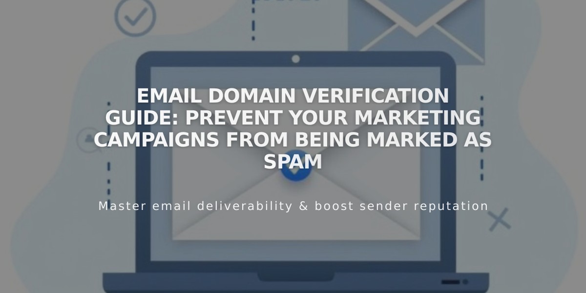 Email Domain Verification Guide: Prevent Your Marketing Campaigns From Being Marked as Spam