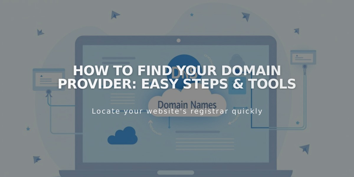 How to Find Your Domain Provider: Easy Steps & Tools