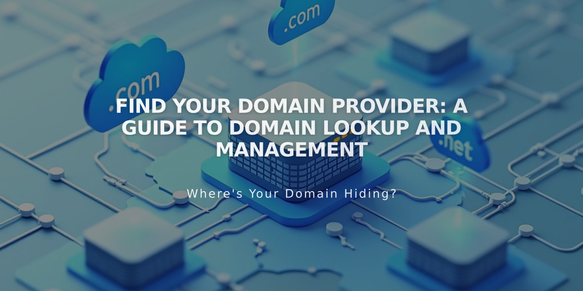 Find Your Domain Provider: A Guide to Domain Lookup and Management