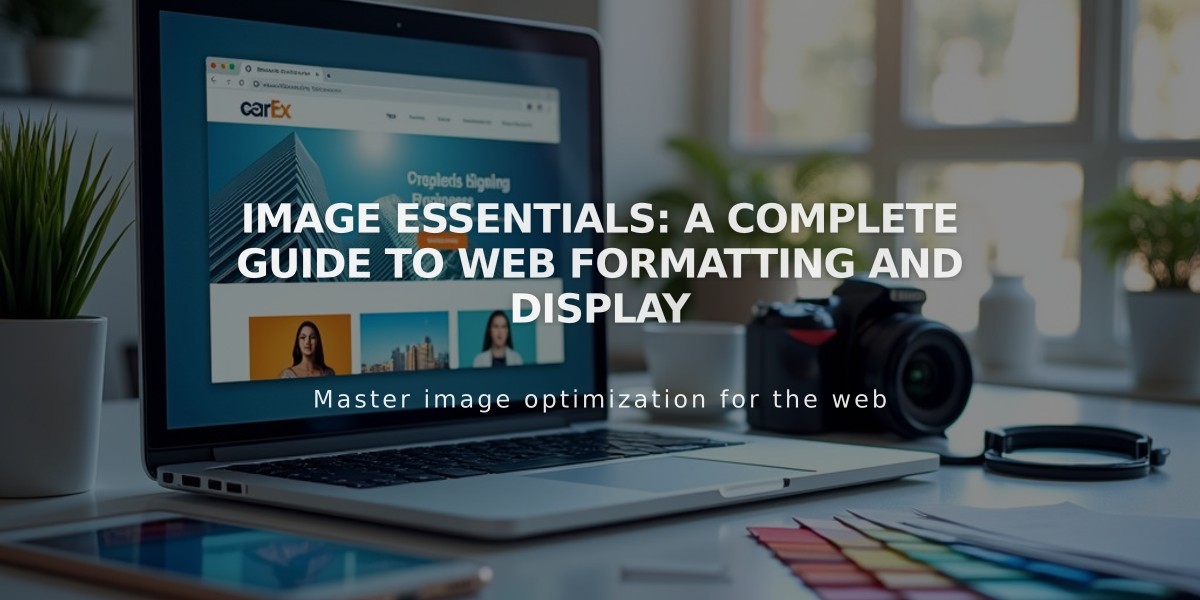 Image Essentials: A Complete Guide to Web Formatting and Display