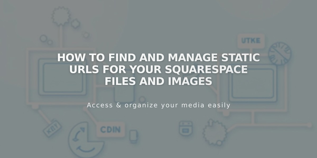 How to Find and Manage Static URLs for Your Squarespace Files and Images