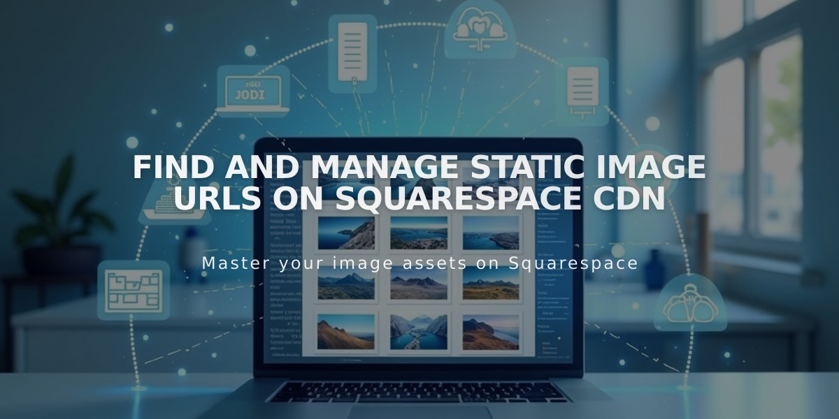 Find and Manage Static Image URLs on Squarespace CDN