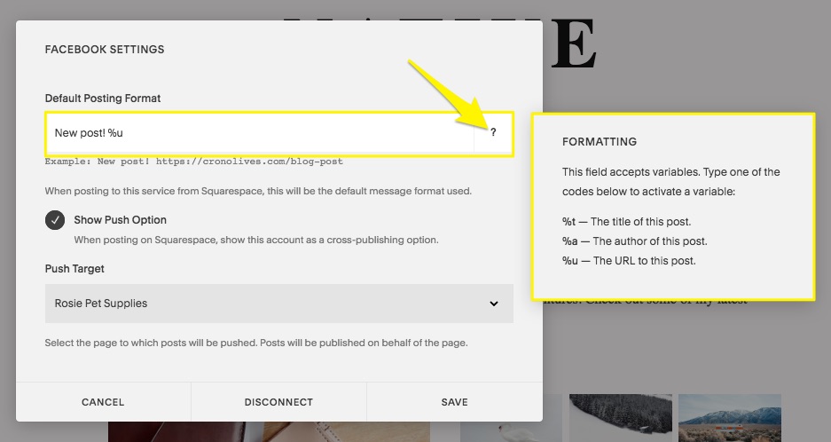 Squarespace blog settings