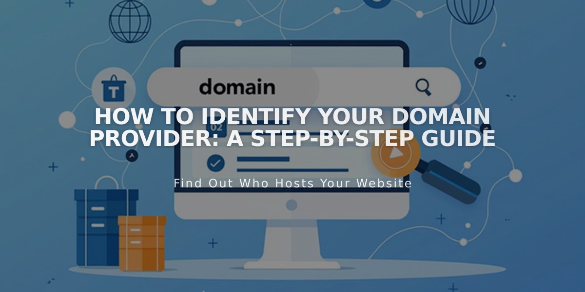 How to Identify Your Domain Provider: A Step-by-Step Guide