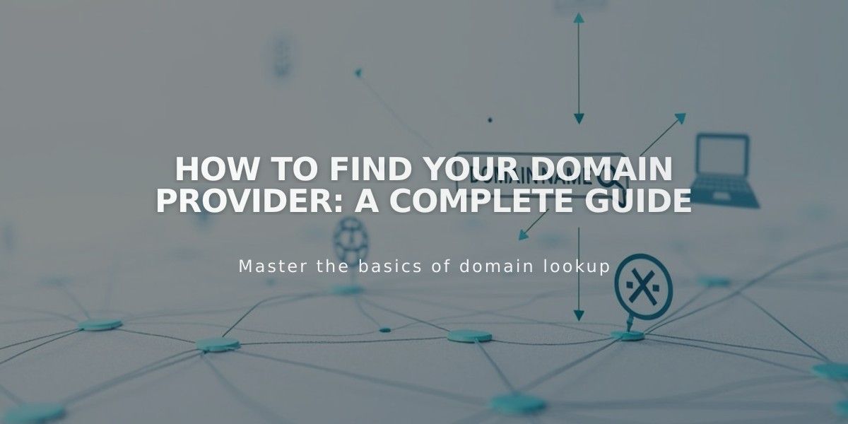 How to Find Your Domain Provider: A Complete Guide