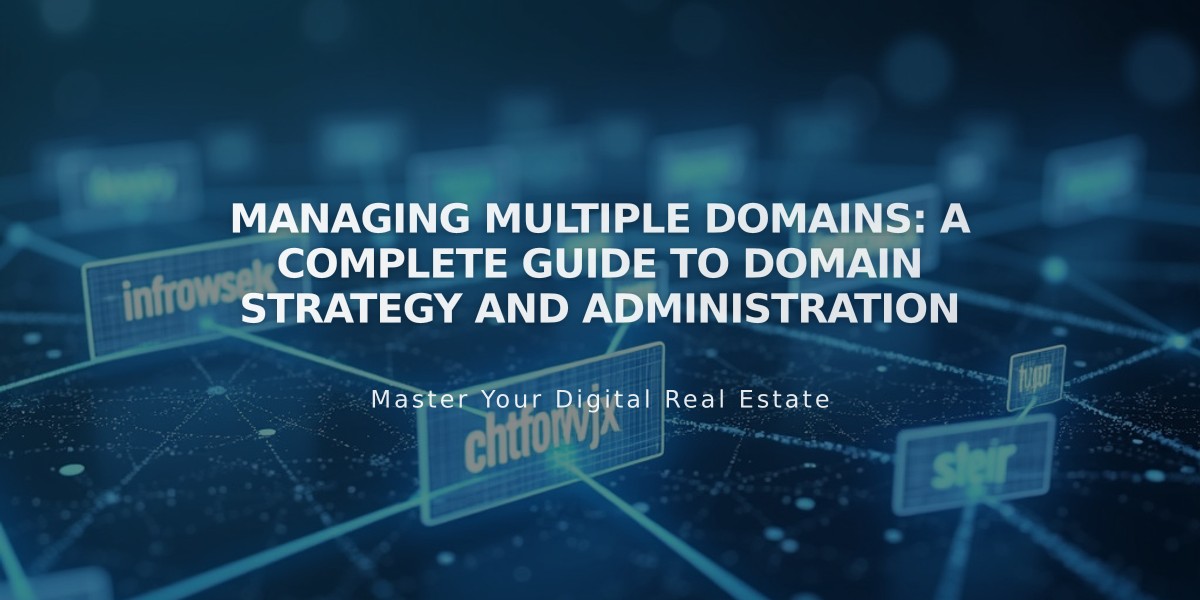 Managing Multiple Domains: A Complete Guide to Domain Strategy and Administration