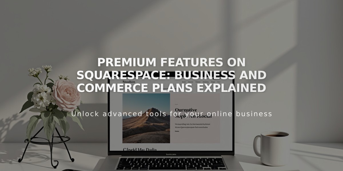 Premium Features on Squarespace: Business and Commerce Plans Explained