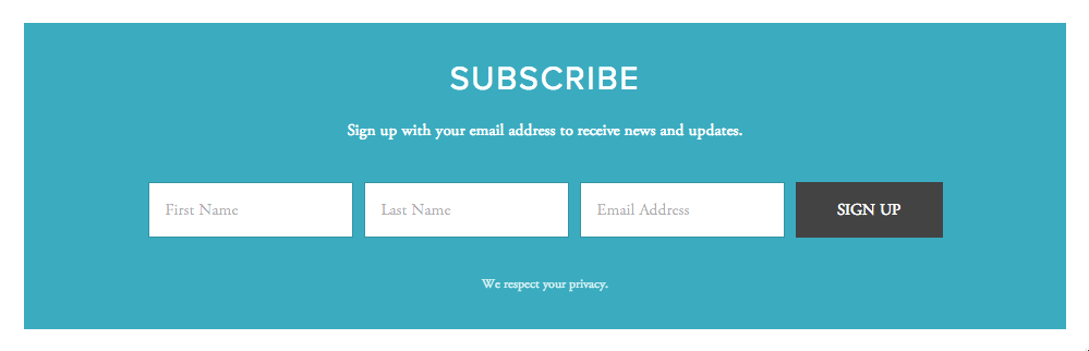 Empty newsletter subscription form