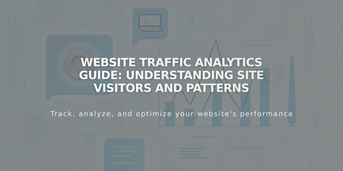 Website Traffic Analytics Guide: Understanding Site Visitors and Patterns