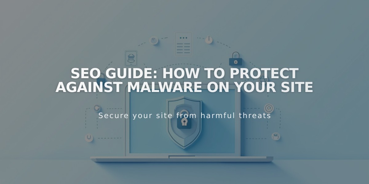 SEO Guide: How to Protect Against Malware on Your Site