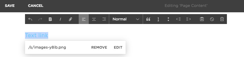 Text editing menu on Squarespace website