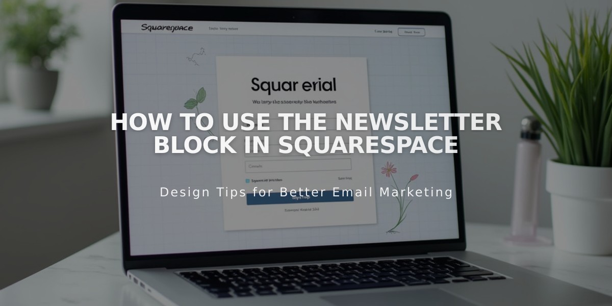 How to Use the Newsletter Block in Squarespace