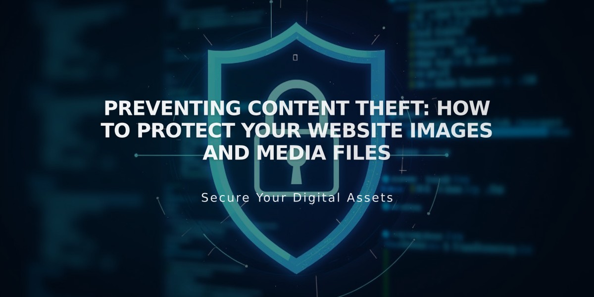 Preventing Content Theft: How to Protect Your Website Images and Media Files