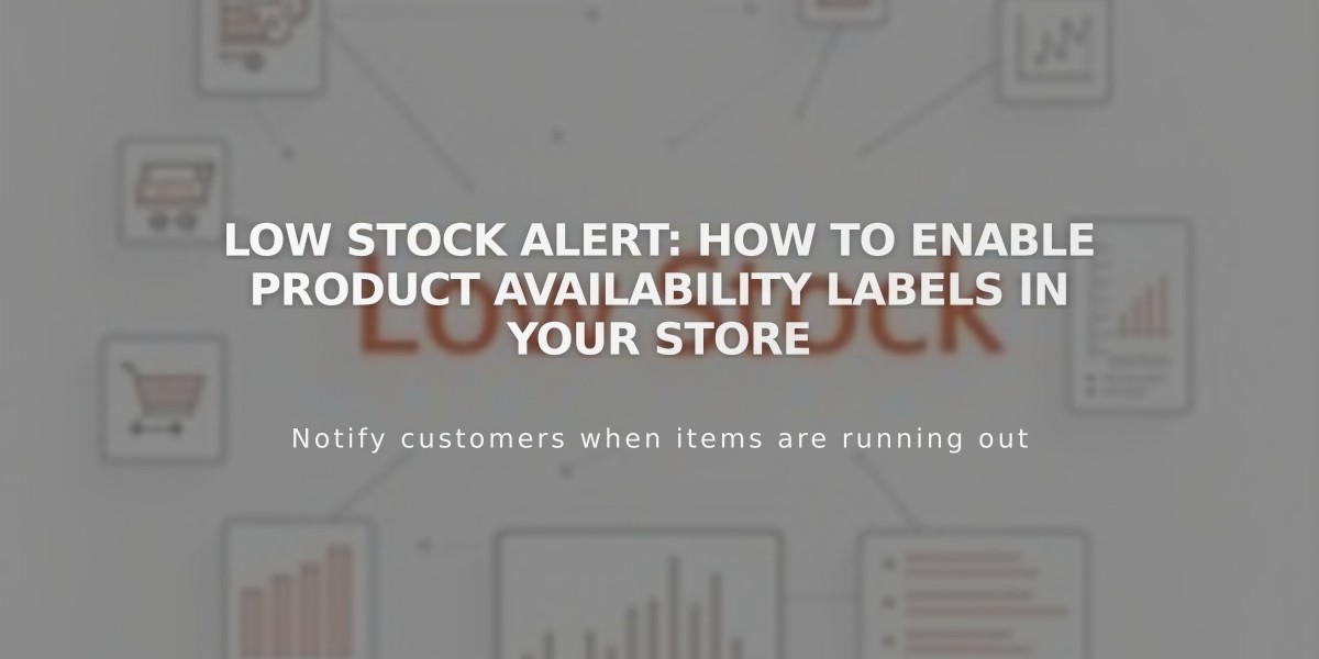 Low Stock Alert: How to Enable Product Availability Labels in Your Store