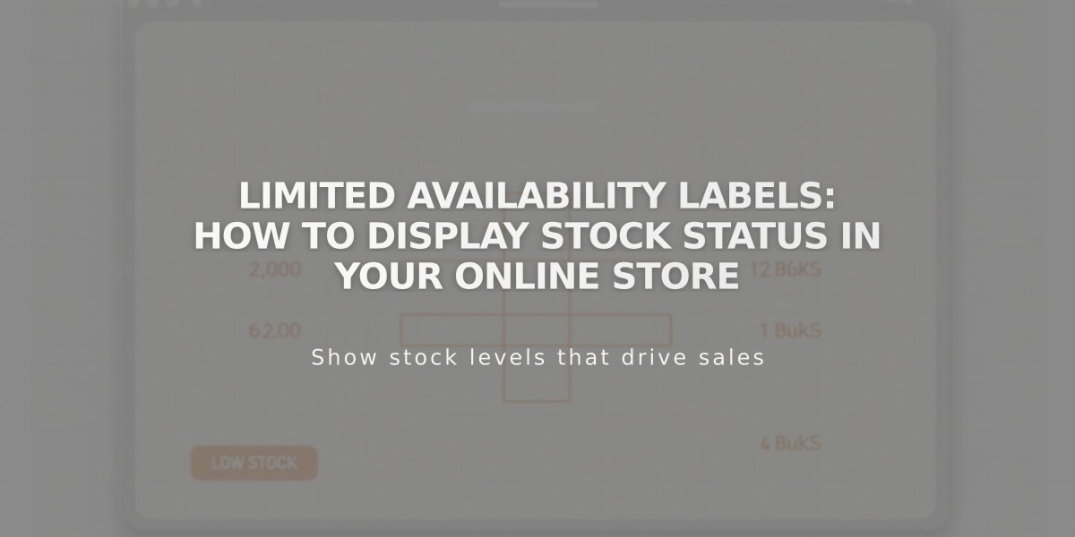 Limited Availability Labels: How to Display Stock Status in Your Online Store