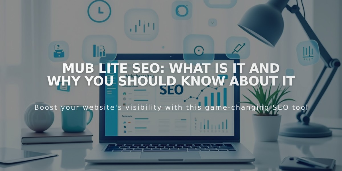 MUB Lite SEO: What Is It and Why You Should Know About It