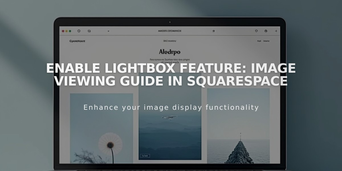 Enable Lightbox Feature: Image Viewing Guide in Squarespace