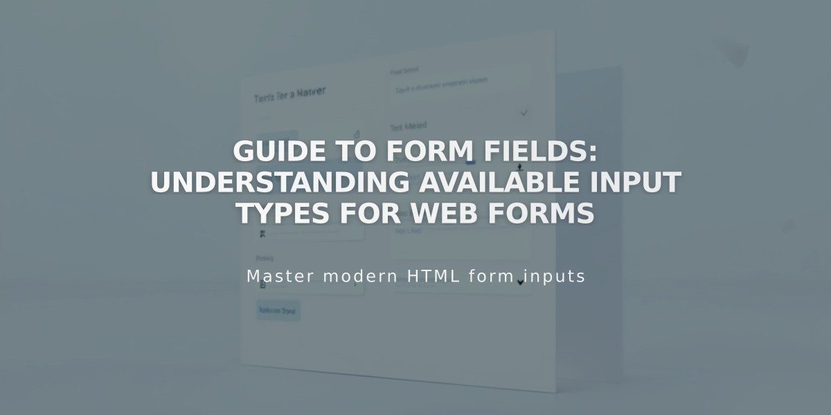 Guide to Form Fields: Understanding Available Input Types for Web Forms