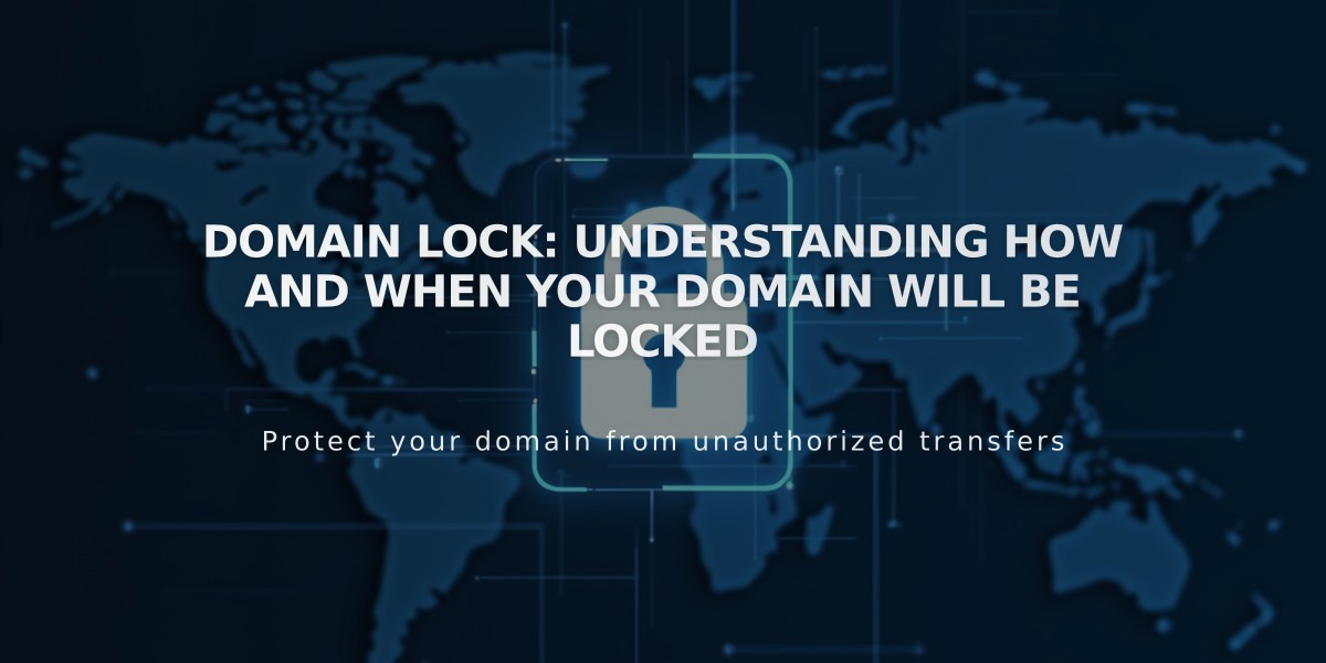 Domain Lock: Understanding How and When Your Domain Will Be Locked