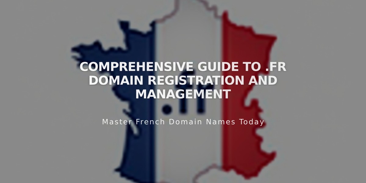 Comprehensive guide to .fr domain registration and management