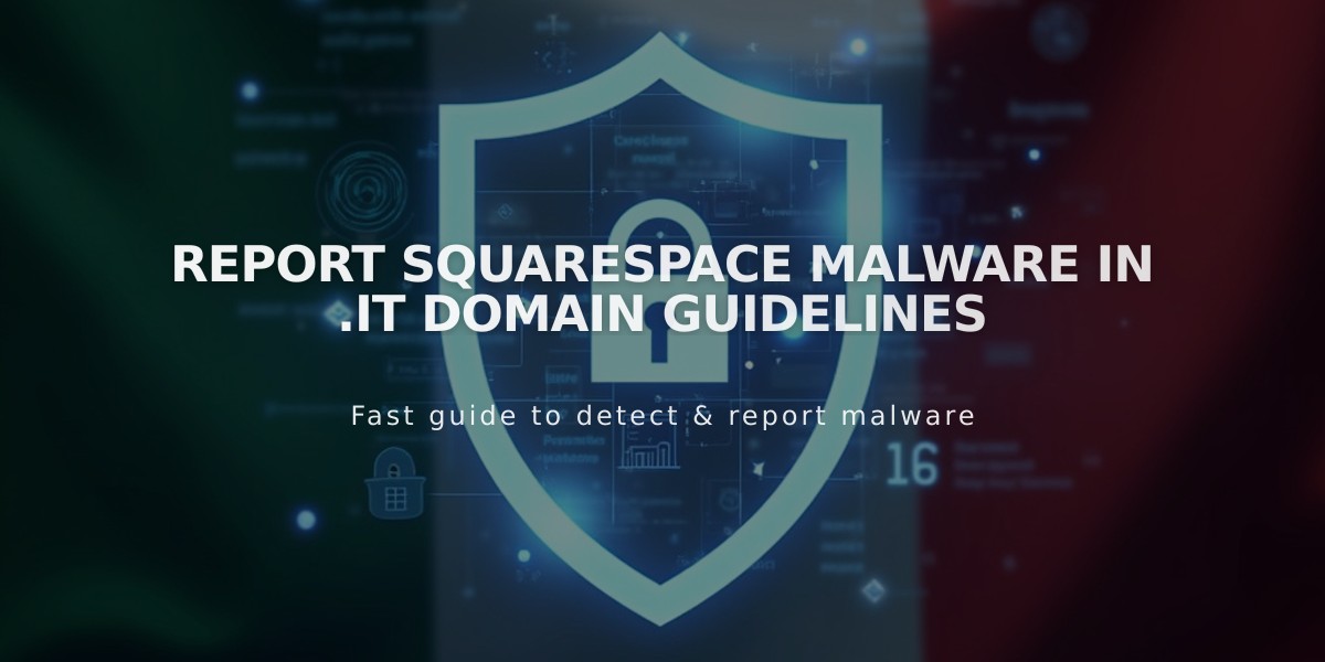 Report Squarespace Malware in .it Domain Guidelines