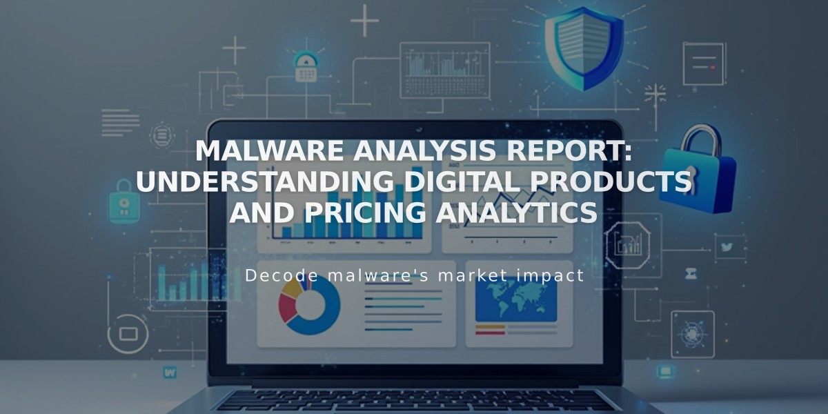 Malware Analysis Report: Understanding Digital Products and Pricing Analytics