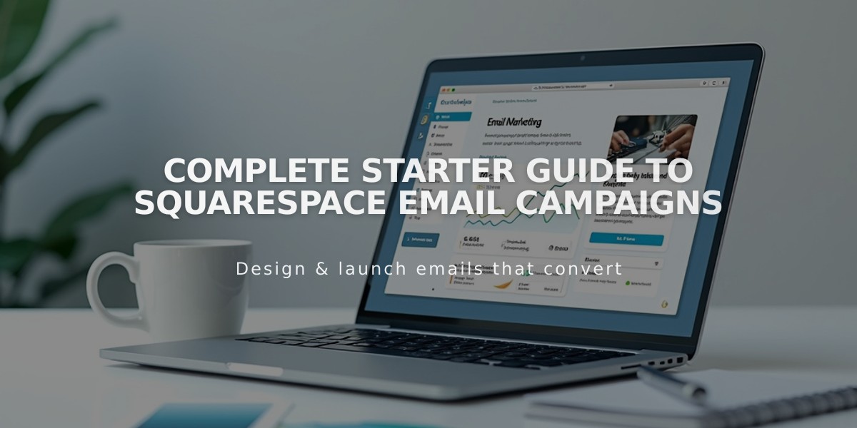 Complete Starter Guide to Squarespace Email Campaigns