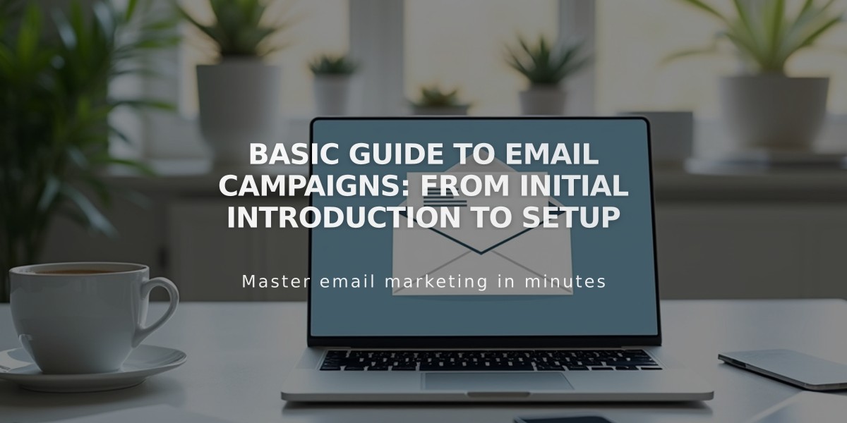 Basic Guide to Email Campaigns: From Initial Introduction to Setup