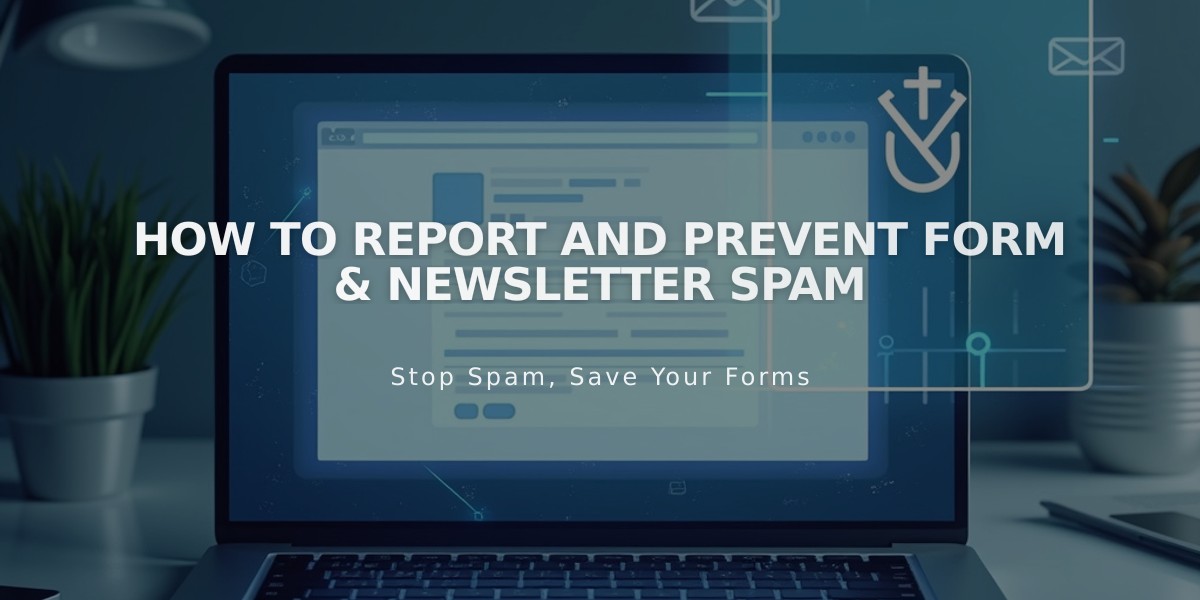 How to Report and Prevent Form & Newsletter Spam